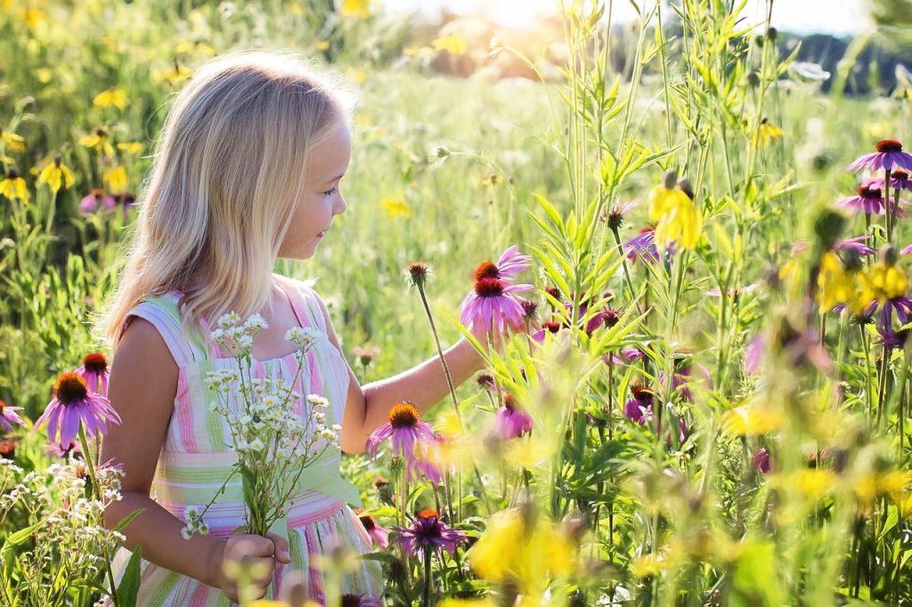 jardin scolaire