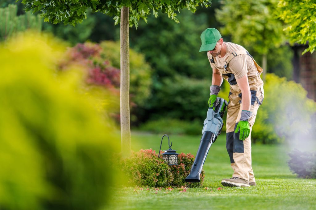 entretien de jardin